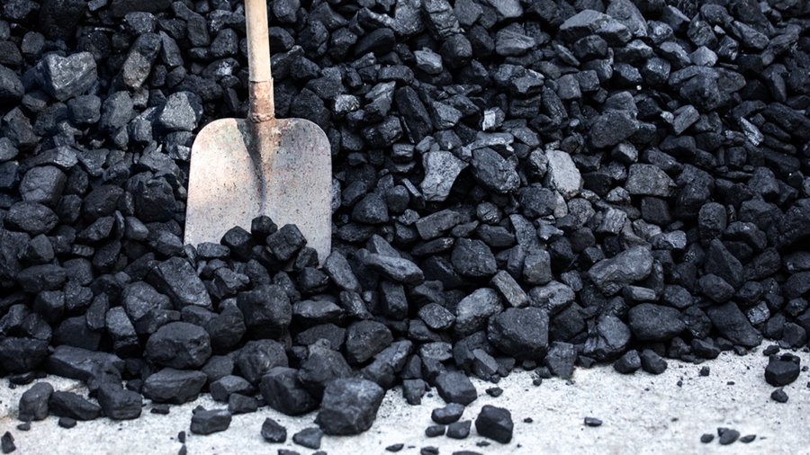 Mieszkańcy Kalisza mogą ponownie skorzystać z bezpłatnej usługi wnoszenia węgla