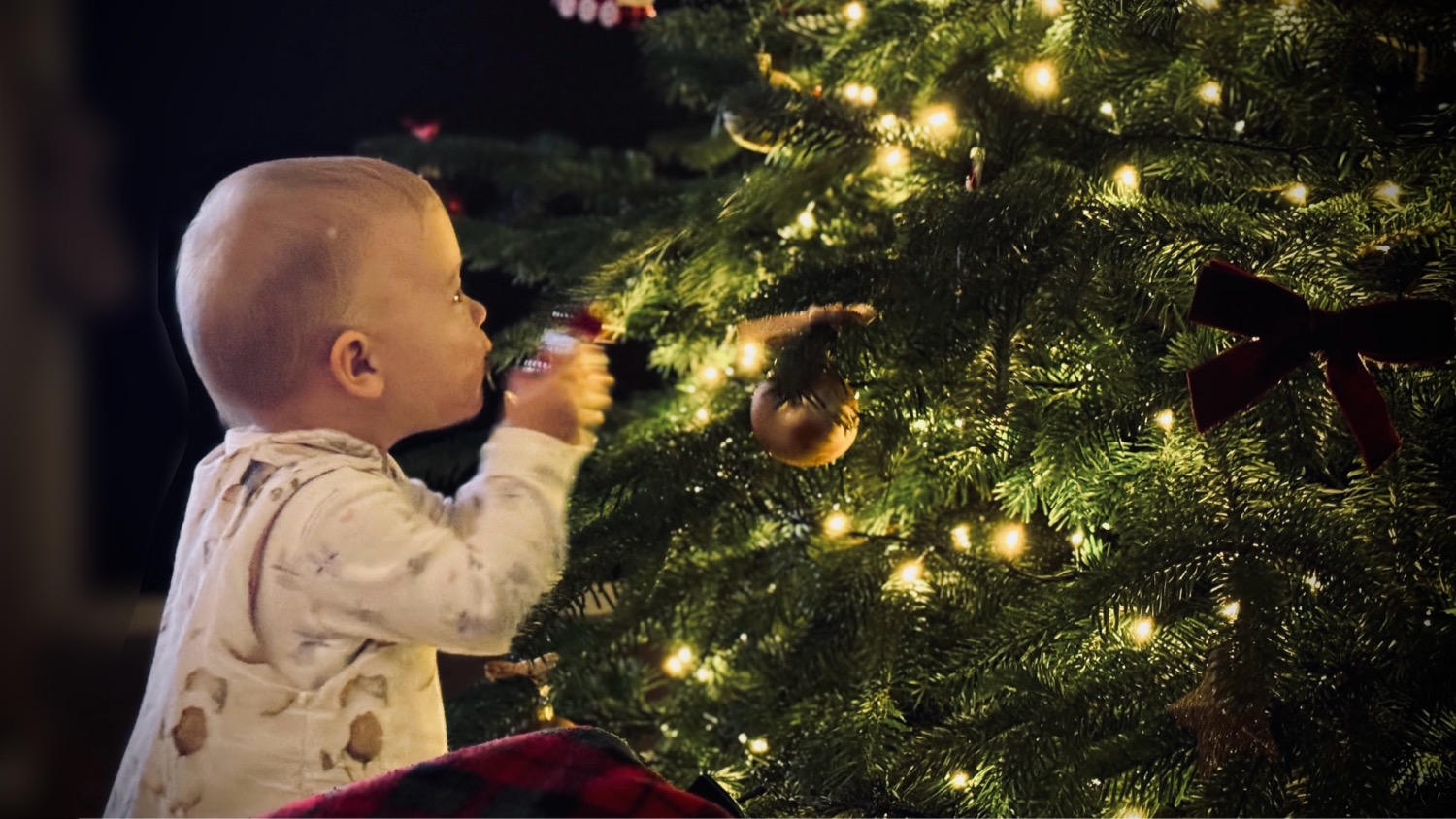 Boże Narodzenie. Dlaczego w Polsce ubieramy choinkę? Skąd wziął się ten zwyczaj?