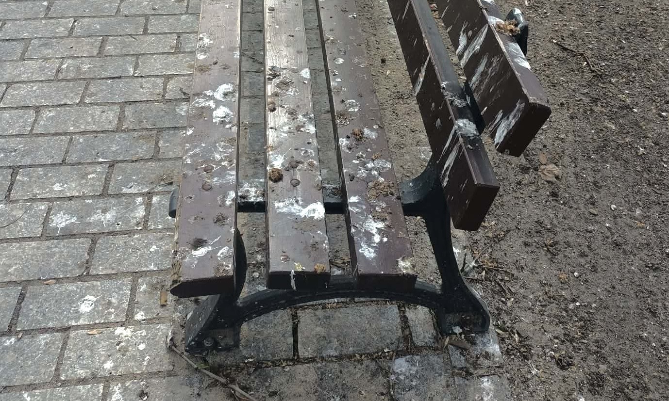 Kaliskie Planty zaniedbań i ptasich odchodów [FOTO]