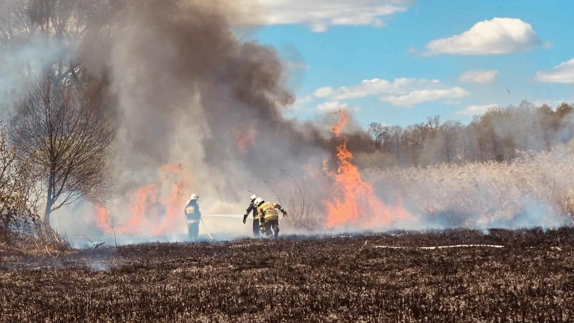 Pożar traw w gminie Szczytniki. Z ogniem walczy kilka zastępów straży pożarnej [FOTO]