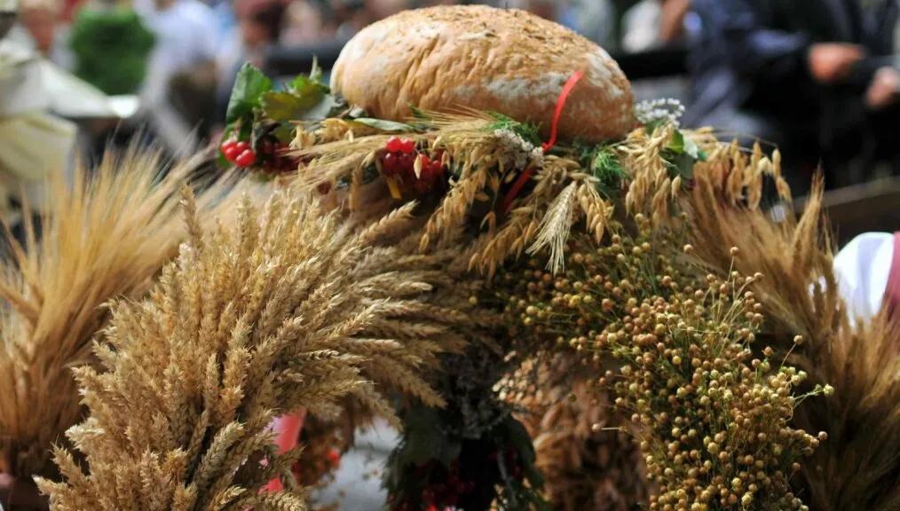 Dożynki Powiatowo-Gminne w Rychnowie. Gwiazdą wieczoru będzie Jacek Stachursky