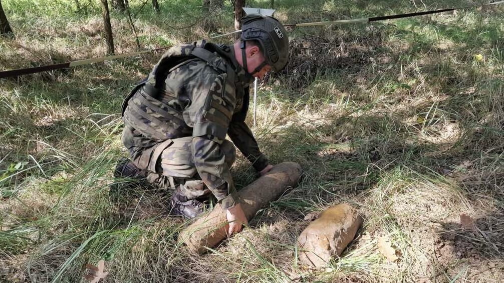 Las skrywał arsenał z czasów wojny. W Borowie znaleziono kolejnych 341 niewybuchów
